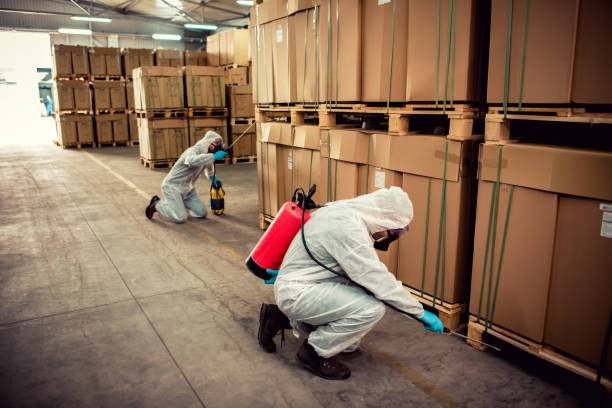 Best Pest Control Near Me  in Eerlin, ND
