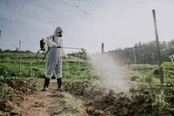 Best Local Pest Control Services  in Eerlin, ND