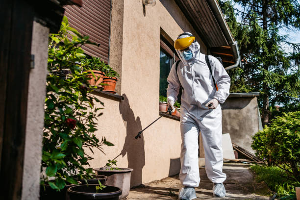 Best Pest Removal Services  in Eerlin, ND