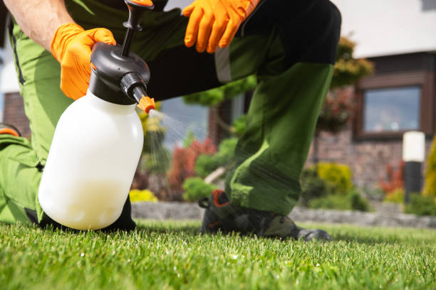 Best Exterminator Services  in Eerlin, ND