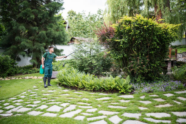 Best Affordable Exterminators  in Eerlin, ND