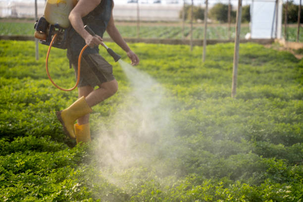 Best Pest Inspection Near Me  in Eerlin, ND