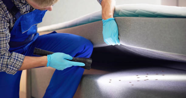 Best Commercial Pest Control Services  in Eerlin, ND
