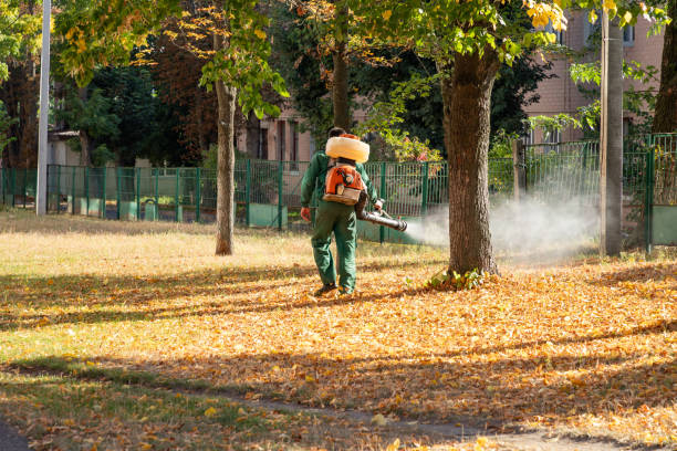 Best Insect Control  in Eerlin, ND